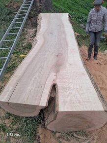 Prodám fošny xxl, řezivo - 3