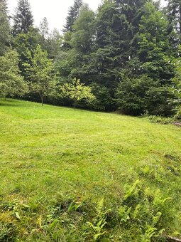 Pozemek 4.690m2 s chatou v Beskydech obec Metylovice - 3