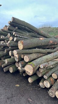 AKCE Palivové dřevo tvrdé metry - 3