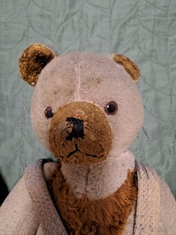 Staří medvídci - 3