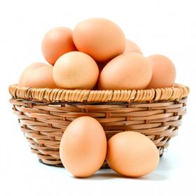 Násadová vajíčka překrásných Wyandotek zdrobnělých - 3