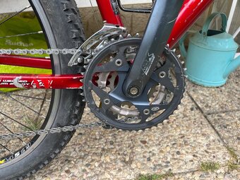 Mongoose Pro 19” - 3