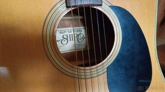 Kytara SHIRO - 3