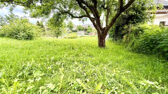 Prodej, stavební pozemek, 569 m², Puklice u Jihlavy - 3