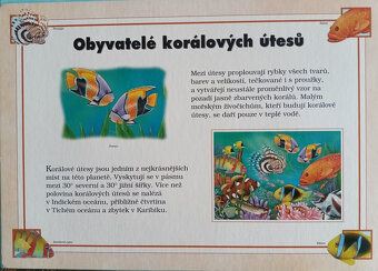 Dětské puzzle - 3