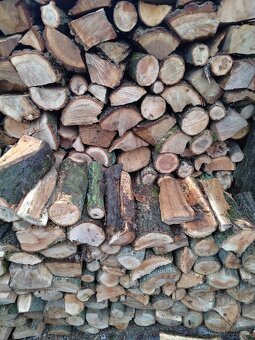 Tvrdé palivové dřevo polena. - 3