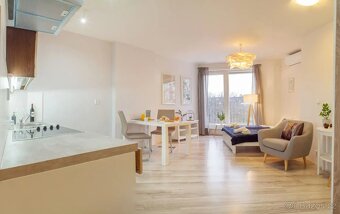 Pronájem bytu 1+kk 40 m² - 3