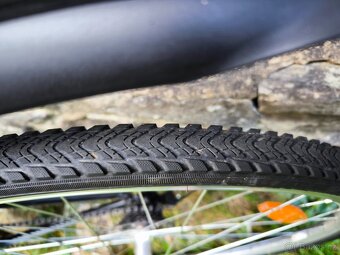 Kolo Alpina ECO C10 ( Kellys) - 3