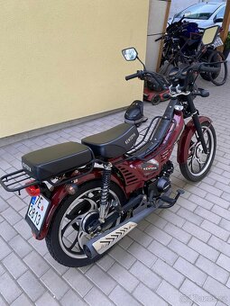 Kentoya Mopedo 50 Euro 5 (2024) - 3