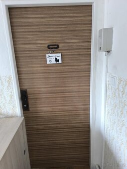 Protipožární dveře 80 levé s kukátkem - 3