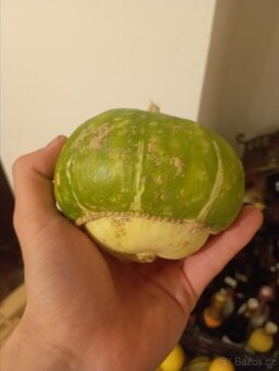 Přebytky okrasných dýní, dýně, tykev - 3