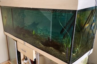 Akvária - 3