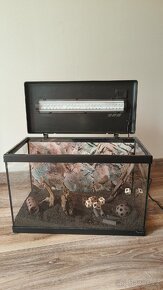 Kompletni set pro chov krevetek - 3