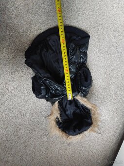 Obleček na čivavu. - 3