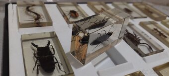 Staré učební pomůcky - 3