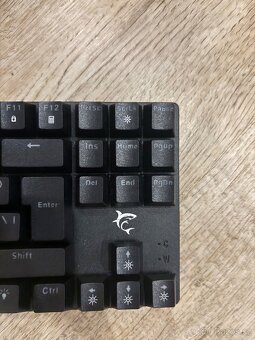 klávesnice white shark - 3