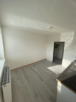 Pronájem 1+1 40m2, Hostomice, po rekonstrukci - 3