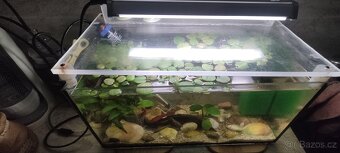 Akvarium s rybkami vybavené 40x20x20 - 3