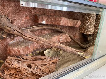 Terarium pro agamu - 3