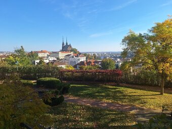 Pronájem bytu Pellicova s terasou pro rodinu i pro studenty - 3