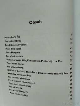 České dějiny očima Psa - 3
