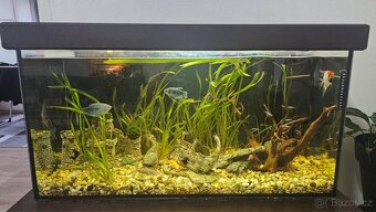 Akvárium komplet - 3