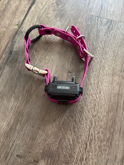 Elektrický obojek - 3