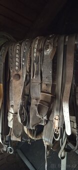 Prodám chomouty,podušky ,postroje - 3