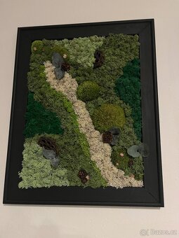 Set mechových obrazov - 3