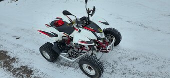 Access warrior 450 - 3