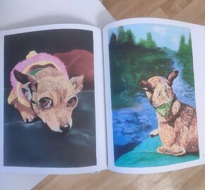 Šumava patafyzická- Faltus, Steigerwald - 3