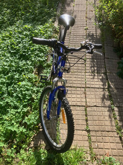 Dětské jízdní kolo Trekking Courage - 3