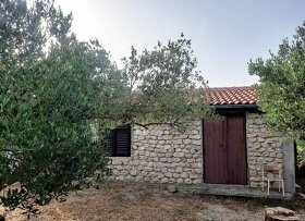 Kamenný dům s olivovým sadem - 3