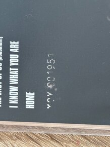 The Last of us- černo stříbrný vinyl- limitace 2500 - 3