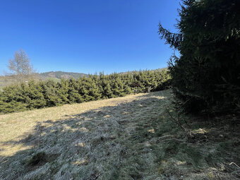 Prodej pozemku 634 m2 k výstavbě chaty v Sušici - 3
