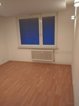 Pronajmu byt 2+1 - 3