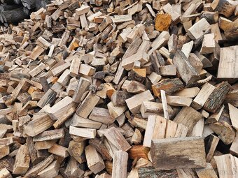 Palivové dřevo tvrdé DUB BUK JAVOR JASAN... štipaný - 3