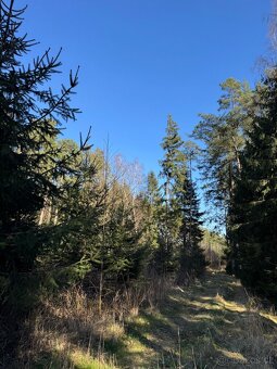 Prodám lesní pozemek v k.ú. Sedlečko u Soběslavě - 3