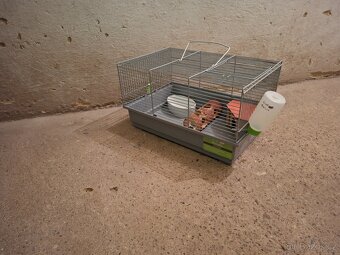 Malá klec na hlodavce - 3