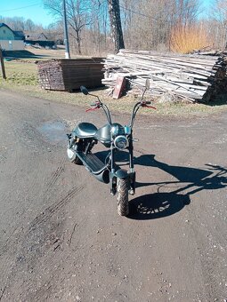 Elektro chopper - 3