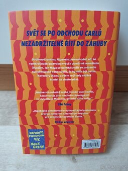 Nádherně pošetilá snaha - Hank Green - 3