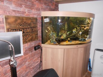 Juwel akvarium - 3