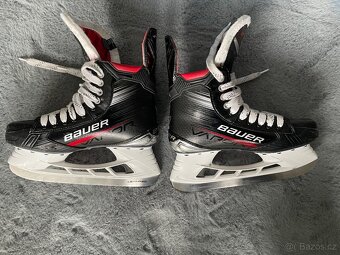 Brusle Bauer Vapor X4 Senior (S23), Vel. 42,5 (7,5), FIT 2 - 3