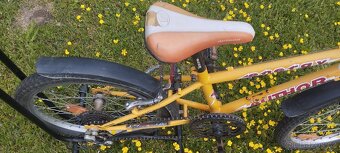 Author Energy 20" - 3