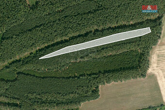 Prodej lesa, 33090 m², Rybnice - 3