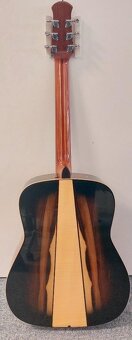 Schneider celomasiv - 3