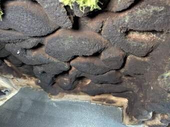 Prodám velké terárium 130 x 45 x 65 - 3