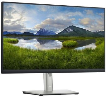 23.8" Dell P2422H Professional - 3