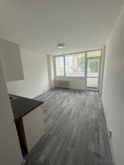 Pronájem - 3