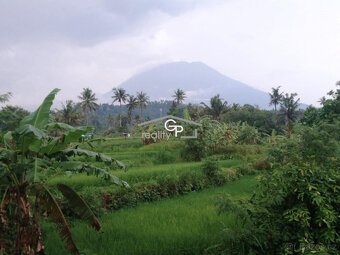 Investiční příležitost na Bali – stavební pozemek - 3